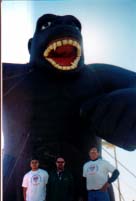 Kong - brown Gorilla Balloon 40ft.