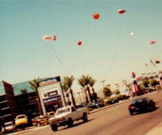 CamelVWsale