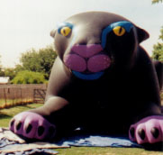 Custom Advertising Balloon - Cat Country Radio Cat