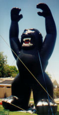 Advertising balloons - cold-air Kong inflatables in stock - custom banners and artwork available. Kongs and gorilla balloons are our most popular shapes!
