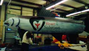 Salmon - 25' long sealed air inflatable.