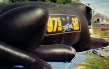 Custom cold-air inflatables - Cat