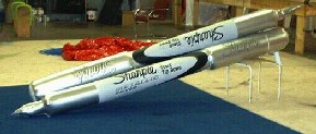 custom sealed-air balloons