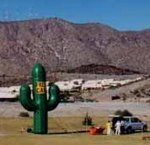 Saguaro cold-air inflatables - 25ft. tall saguaro cactus balloons..