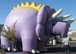 Inflatables Rental - Triceratops balloons - 18ft. tall Triceratops cold-air inflatables.